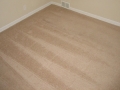 clean-carpet-1